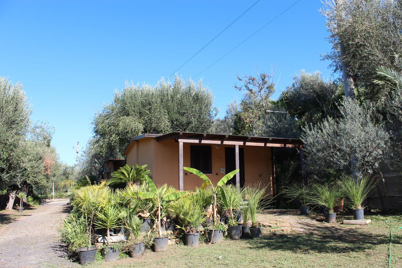 Residence Serrone ซานตามาเรีย ดิ กาสเตลลาบาเต ภายนอก รูปภาพ